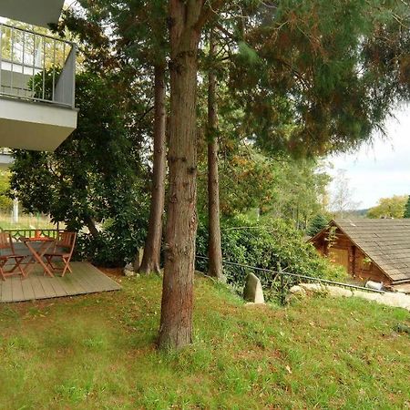 Apartamenty Sun & Ski Willa Laser Szklarska Poręba Kültér fotó